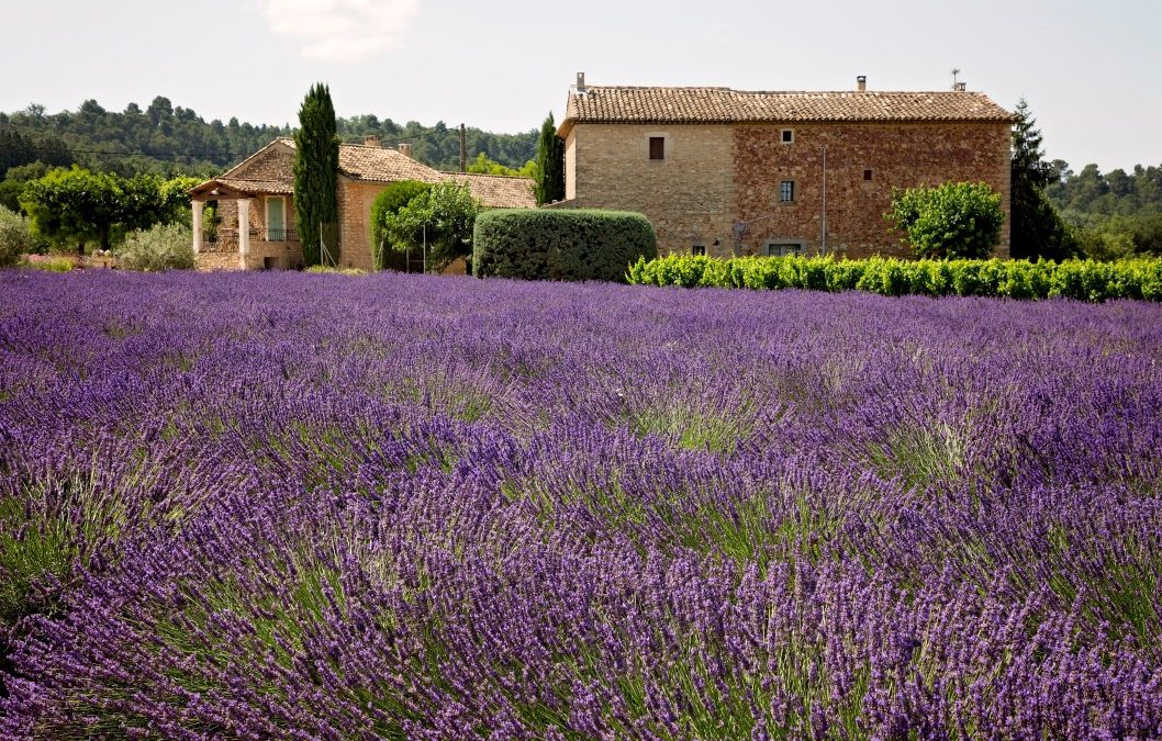 Qu’est-ce qui rend les produits de Provence unique ?