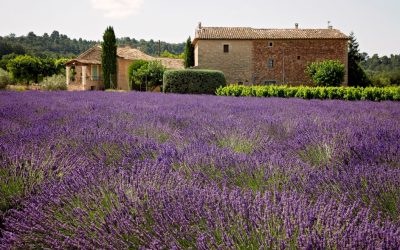 Qu’est-ce qui rend les produits de Provence unique ?